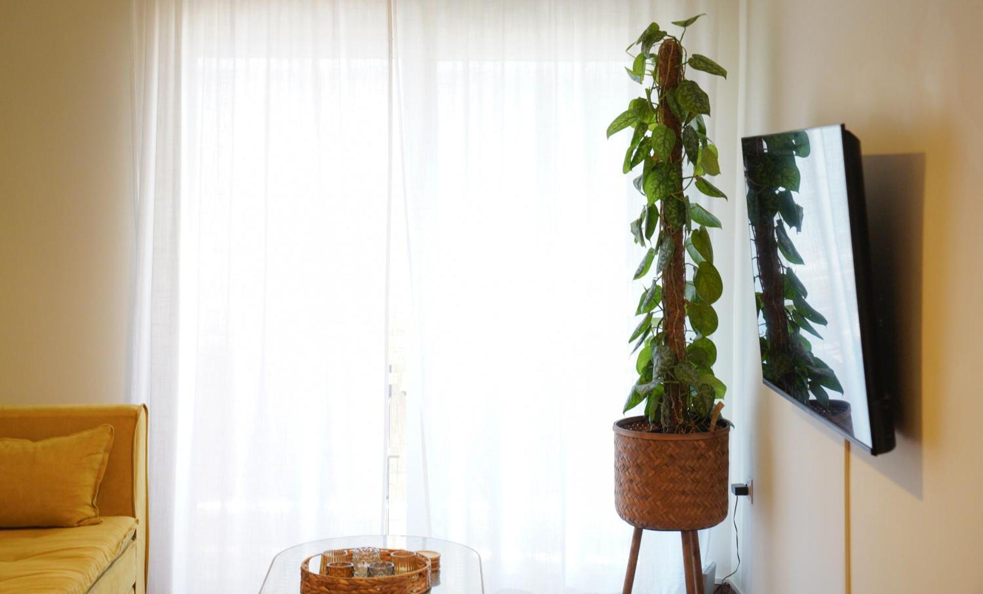 Bright Athens Studio מראה חיצוני תמונה